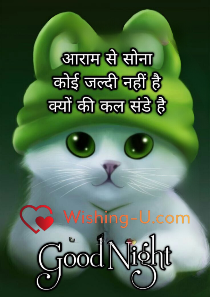 Good Night Shayari Image