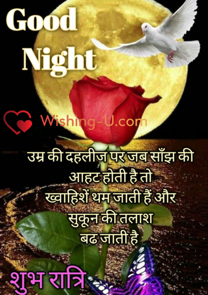 Good night Shayari Photo