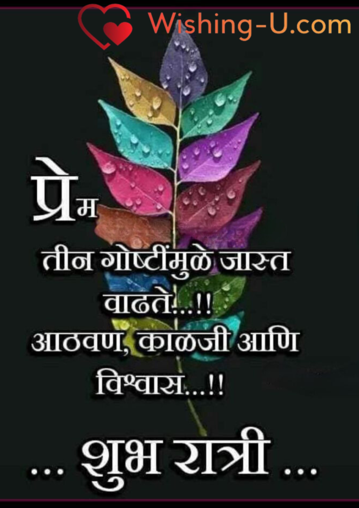 Good Night Shayari Image
