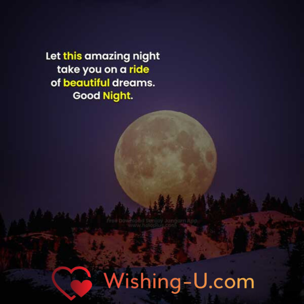 Good Night English Photo