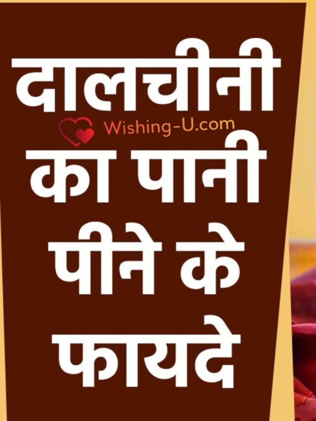 टॉप 10 दालचीनी का पानी पीने के फायदे