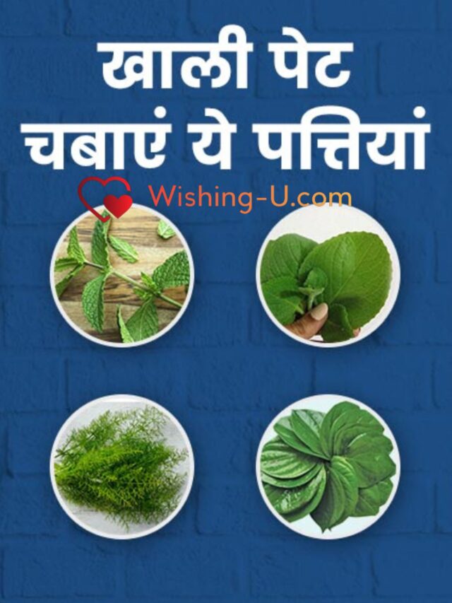 खाली पेट चबाएं ये 5 तरह की पत्तियां, न होगी गैस, न कब्ज