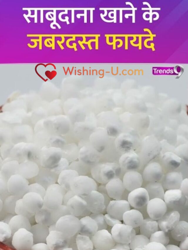 टॉप 6 साबूदाना खाने से मिलते हैं जबरदस्त फायदे